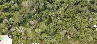 Mentakab 500acres land suit for Oil Palm, Rubber, Durian, fruits etc