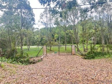Tanah Pertanian Tanaman Gaharu 1.28ekar Nusa Dusun  Untuk Dijual