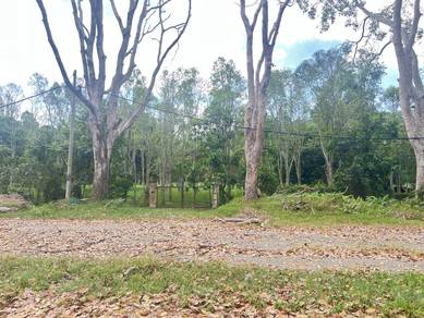 Tanah Pertanian Tanaman Gaharu 1.28ekar Nusa Dusun  Untuk Dijual