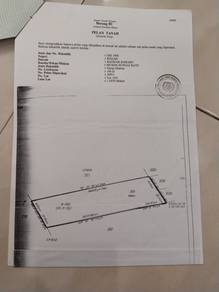 Tanah Kebun Sawit Untuk Dijual Di Sungai Batu Serdang Kedah