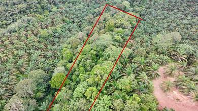 Agricultural-Land-for-sale-Sungai-Siput-Perak