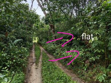 Rubber tree land in Kalumpang Selangor