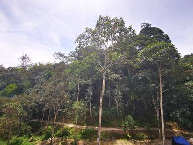Ulu Kelang Kemensah tanah pertanian 2 ekar