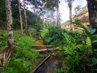 Ulu Kelang Kemensah tanah pertanian 2 ekar
