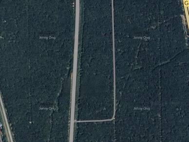 Zoning Heavy Industry Land At Padang Meha Kedah For Sale