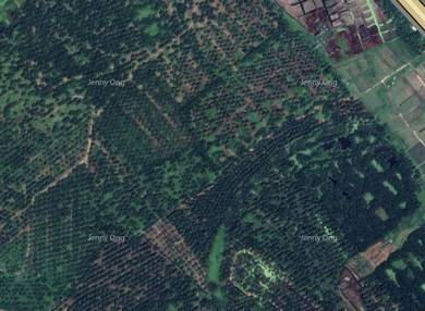 Zoning Heavy Industry Land At Padang Meha Kedah For Sale