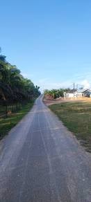 Agricultural-Land-for-sale-Temerloh-Pahang