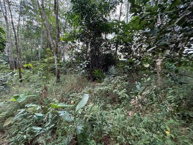 Agricultural-Land-for-sale-Ulu-Tiram-Johor-2