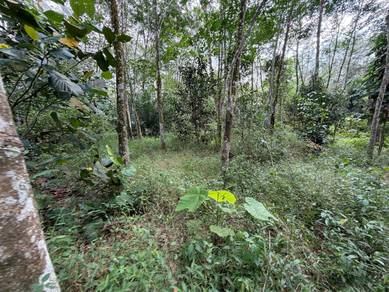 Agricultural-Land-for-sale-Ulu-Tiram-Johor-1