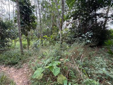 Agricultural-Land-for-sale-Ulu-Tiram-Johor-3