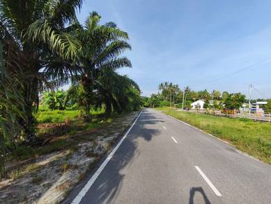 Agriculture Land Batu 12 Kapar Klang For Sale