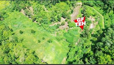 6.1 acre Kuala Kangsar Durian / Fruits Orchard Agricultural Land Perak