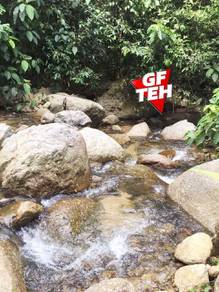 6.1 acre Kuala Kangsar Durian / Fruits Orchard Agricultural Land Perak