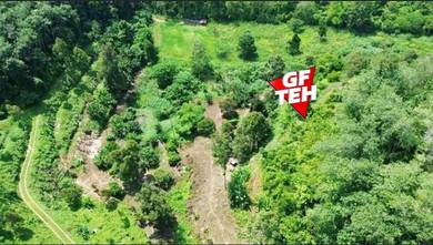 6.1 acre Kuala Kangsar Durian / Fruits Orchard Agricultural Land Perak