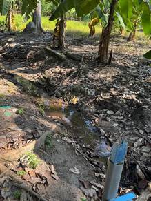 Penang Balik Pulau durian orchard land Over 50,000 sqft for rent