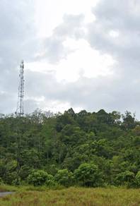 2.4 Acre Roadside Hilly Agriculture Land Next To SMK Sg. Paoh Sarikei