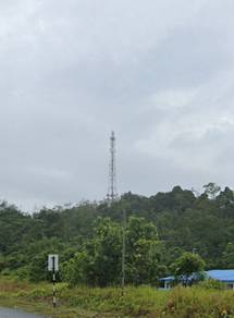 2.4 Acre Roadside Hilly Agriculture Land Next To SMK Sg. Paoh Sarikei