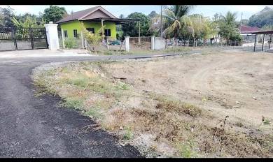 Agricultural-Land-for-sale-Pendang-Kedah