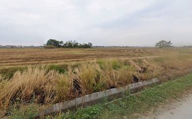 Tanah Pertanian Seberang Perai Utara, Penang