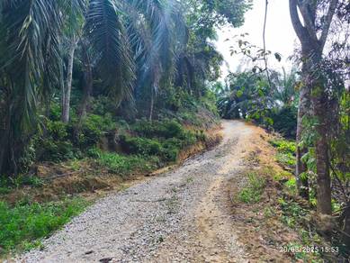 {Agricultural Land} Rancangan Tanah Merah, Muar, Johor
