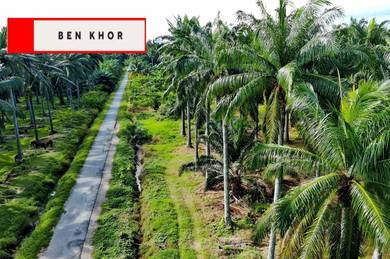 Agricultural-Land-for-sale-Sungai-Bakap-Penang