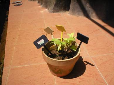 Press Box / Plant label tag / Angled plant label