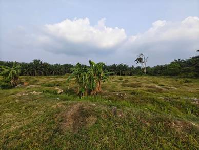 Agricultural-Land-for-sale-Bota-Perak