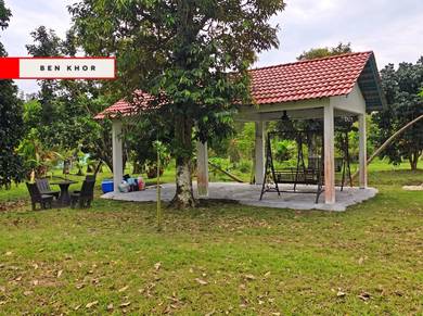 2.5 acres | Agricultural land | Fruit Orchard| Junjong | Kulim | KEDAH