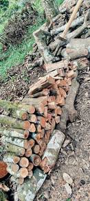 Batang Kayu Salai