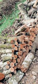 Batang Kayu Salai