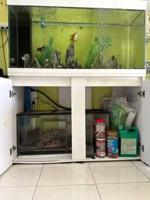 Fish Aquarium
