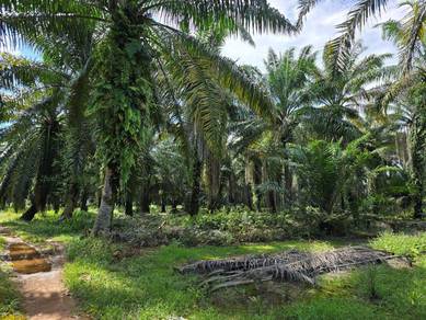 Residential-Land-for-sale-Jenjarom-Selangor