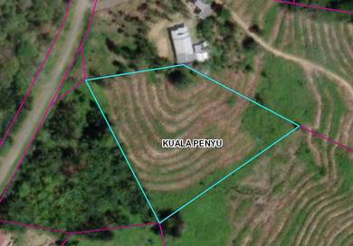 Kuala Penyu NT Land for sale | Agricultural land |
