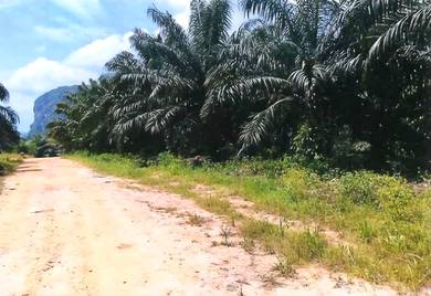 PRIVATE LAND Kelantan Gua Musang Ulu Nenggiri 2700 acres Palm Oil Land