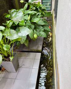 Section 13 Shah Alam KGSAAS Esente Semi-D Fully Renovated