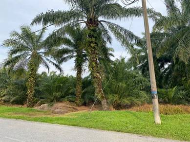 Agricultural-Land-for-sale-Jenjarom-Selangor