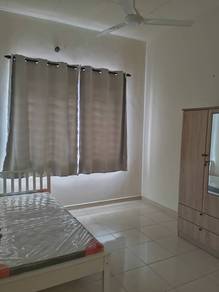 single room sec 23 to rent