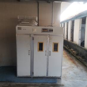 incubator