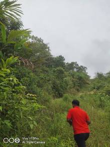 Agriculture Land, Pertanian, NonBumi Lot, Kg Lentang Kuala Lipis