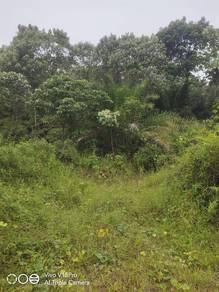 Agriculture Land, Pertanian, NonBumi Lot, Kg Lentang Kuala Lipis