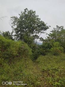 Agriculture Land, Pertanian, NonBumi Lot, Kg Lentang Kuala Lipis