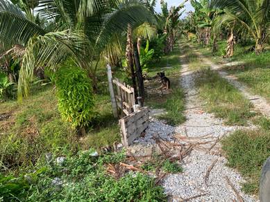 Agricultural-Land-for-sale-Teluk-Intan-Perak