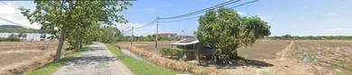 Freehold Commercial Zoning Agricultural Land at Kuala Perlis for Sale