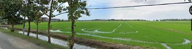 Freehold Commercial Zoning Agricultural Land at Kuala Perlis for Sale