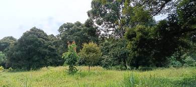 Agricultural-Land-for-sale-Labu-Negeri-Sembilan