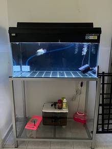 aquarium 3ft