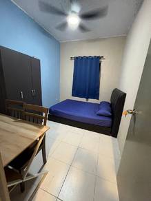 Rumah Sewa Tasek Gelugor 