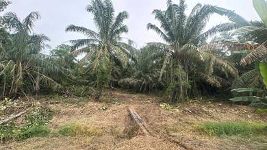 Tanah Pertanian Sawit Parit Jelutung Darat Ayer Baloi Johor Good Value