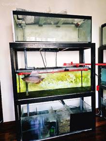 3-tier aquarium 