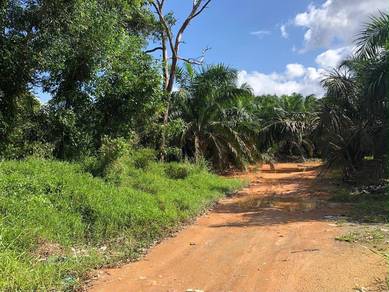 Jemaluang main road land